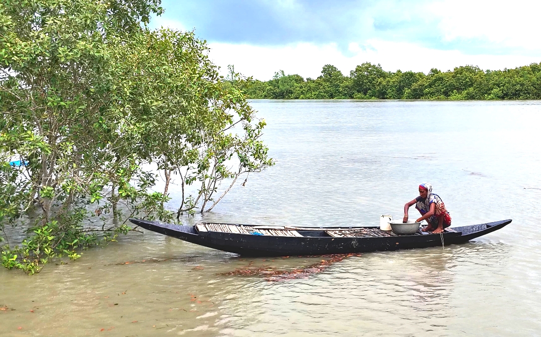 সুন্দরবন বন্ধে আয়সংকট, সংসারের হাল ধরছেন উপকূলের নারীরা